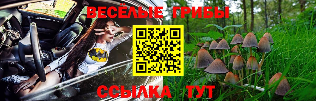 Псилоцибиновые грибы прущие грибы Чайковский