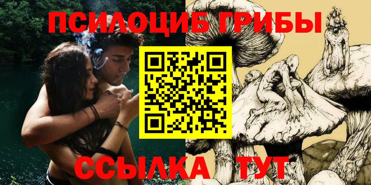магазин  наркотиков  Галлюциногенные грибы Cubensis  Вход с VPN  Чайковский 